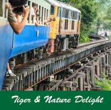 Tiger-&-Nature-Delight