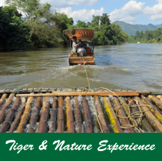 tiger-&-Nature-Experience